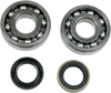 Crank Bearings and Seals - Honda/Kawasaki