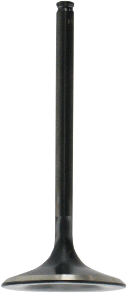 Intake Valve - TRX450R - Standard