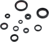 Engine Oil Seal Kit - Honda