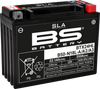 Battery - BTX24HL (YTX)