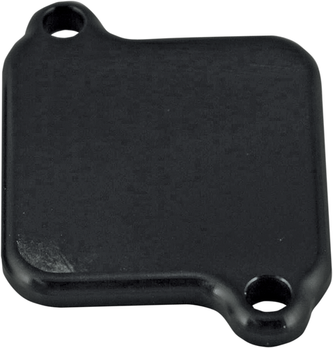 Block Off Plate - Black - Lutzka's Garage