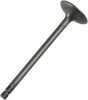 Intake Valve - Yamaha