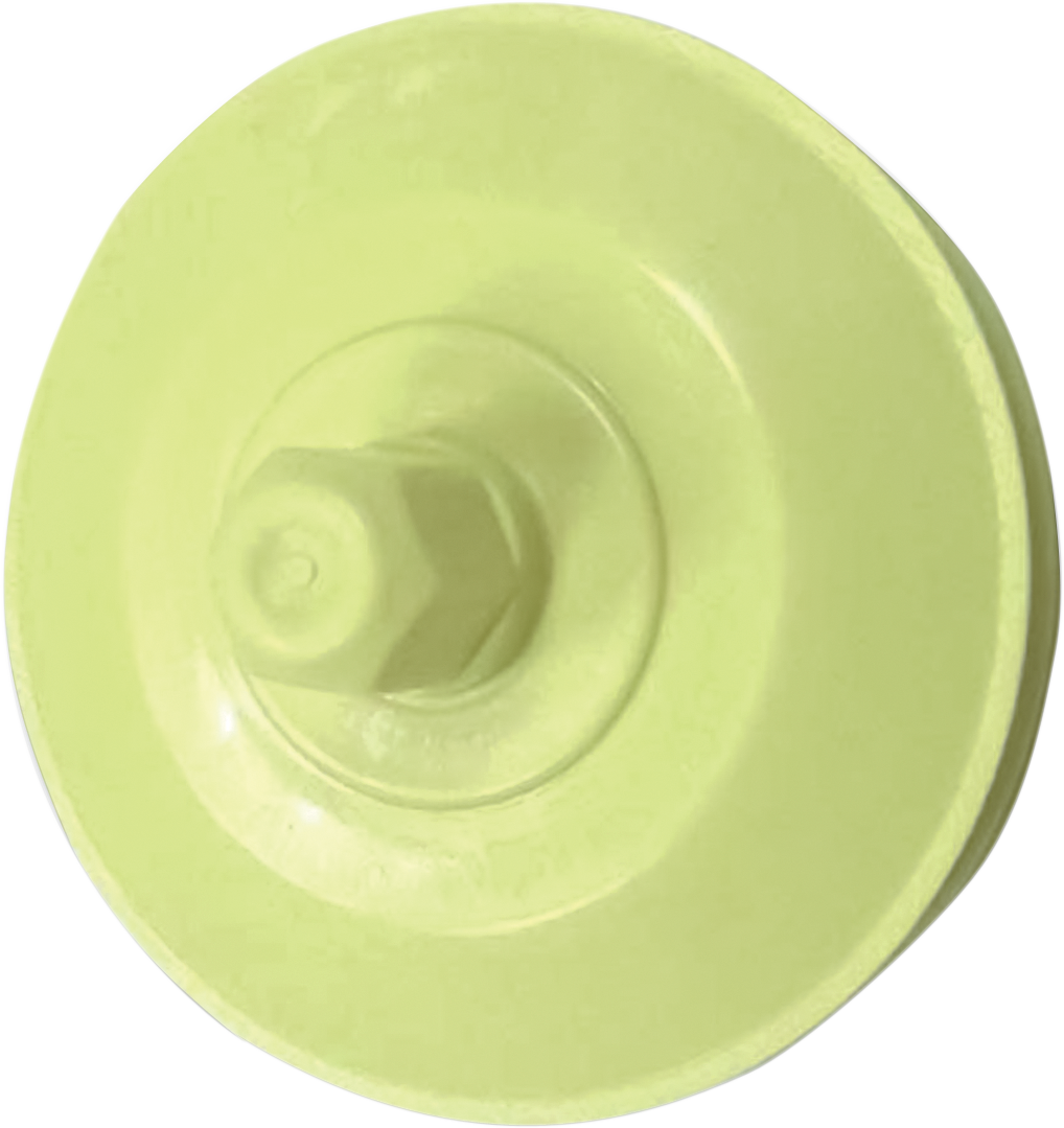 Power Valve Piston - Sea Doo