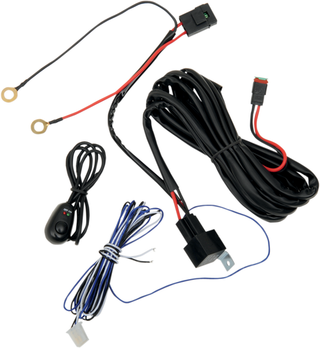 Wiring Harness with Switch