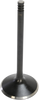 Intake Valve - 1200 XL