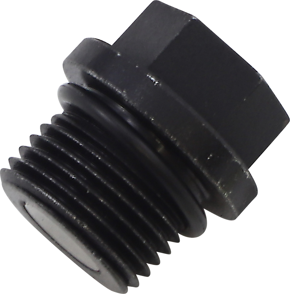 Transmission Drain Plug/Gear Case