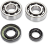 Crank Bearings With Seal - KTM