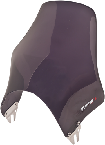 Naked Windshield - Dark Smoke - Lutzka's Garage