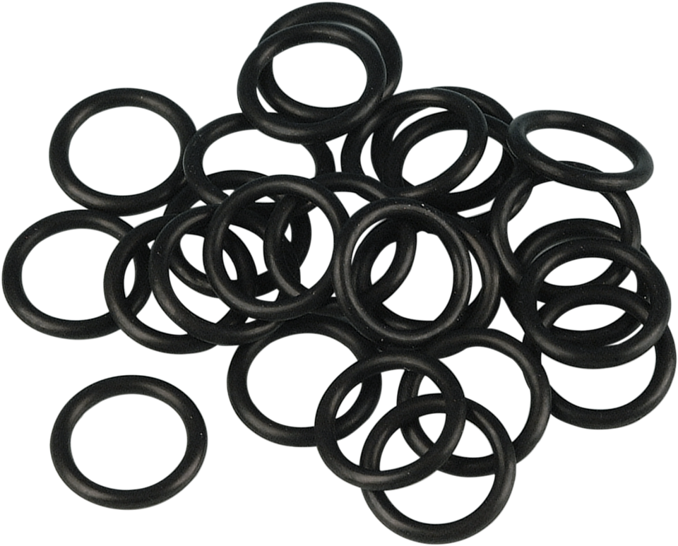 Shifter O-Ring - FXST