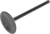 Intake Valve - Twin Cam