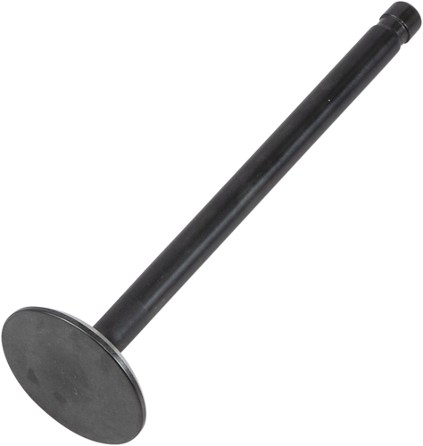 Exhaust Valve - 883 XL