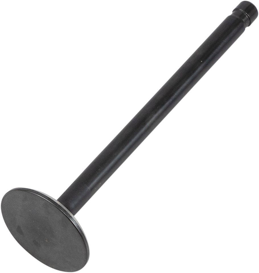 Exhaust Valve - 883 XL
