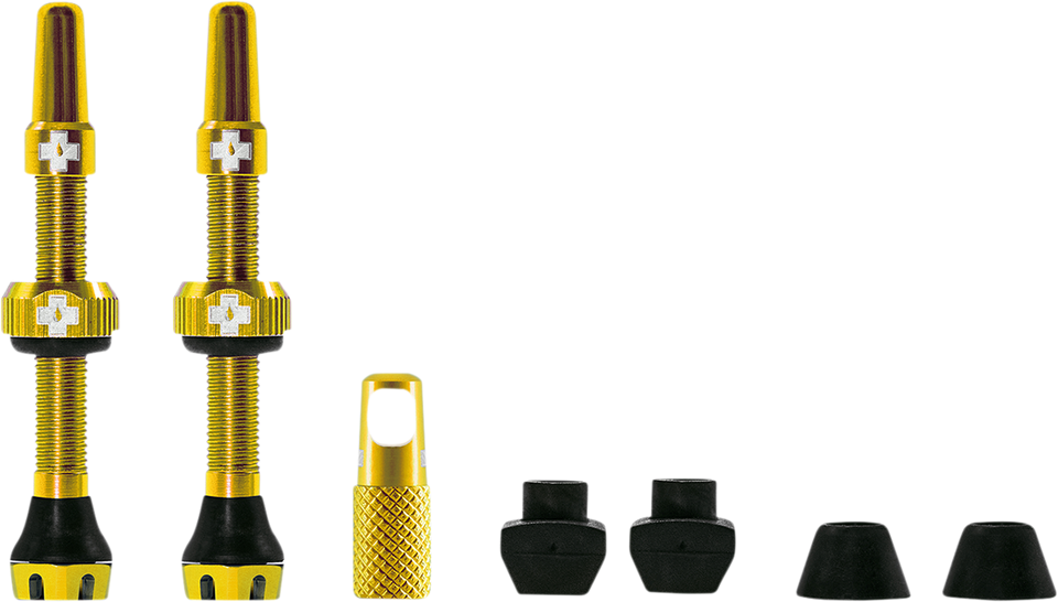 Tubeless Valve Stems - Gold - Lutzka's Garage