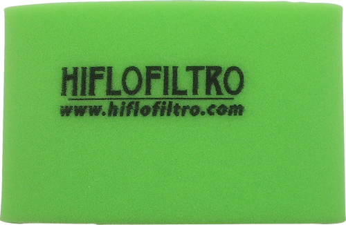 Foam Air Filter - Polaris