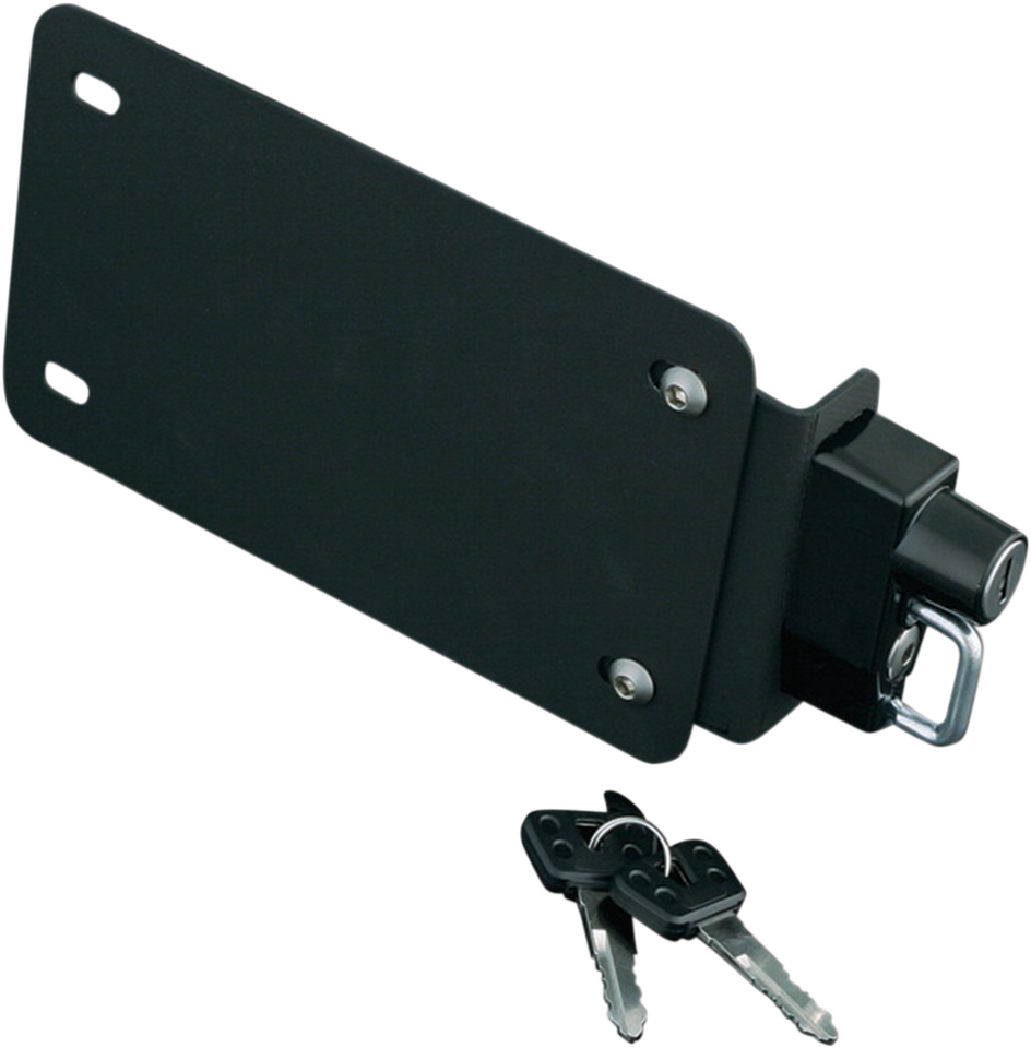 License Plate Mount - with Lock