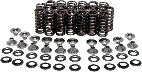 Valve Spring Kit
