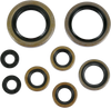 Motor Oil Seals - KTM