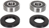 Wheel Bearing Kit - Rear