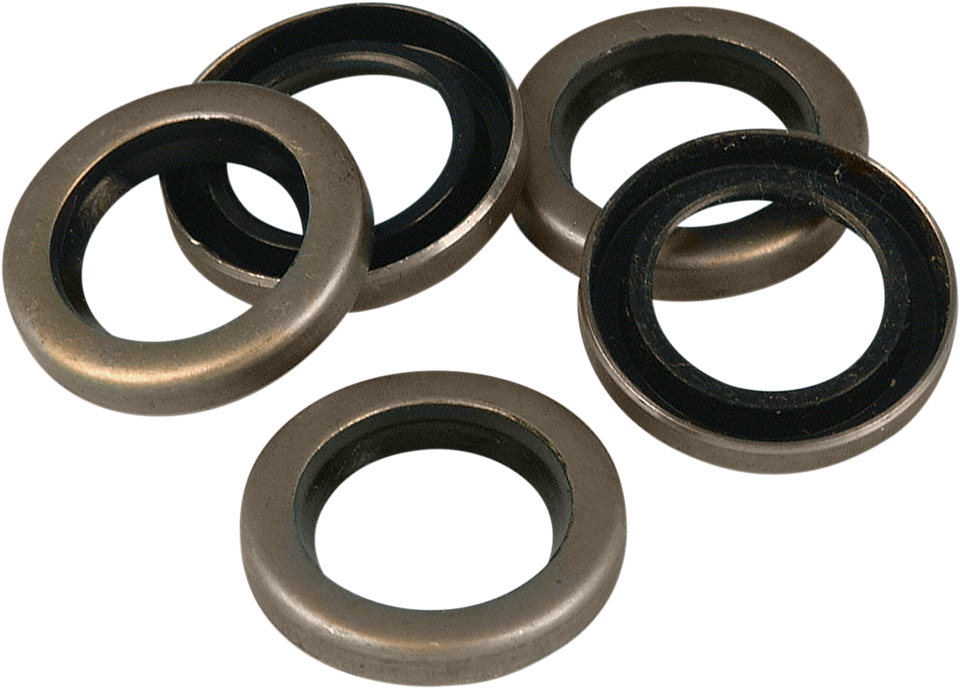 Starter Oil Seal - Big Twin