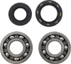 Main Bearing Kit