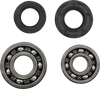 Main Bearing Kit