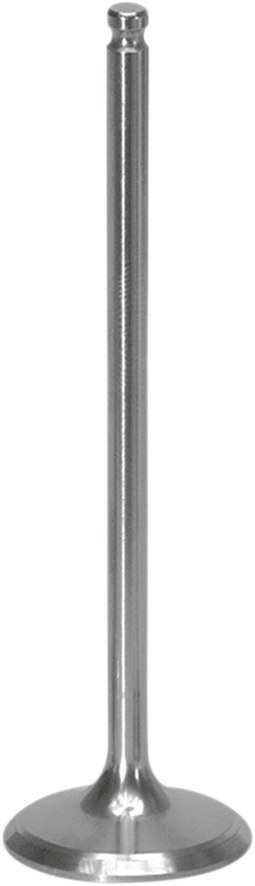 Intake Valve