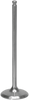 Intake Valve