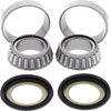Steering Stem Bearing Kit