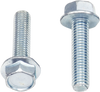 Bolts - Flange - M6 x 25 - 10-Pack