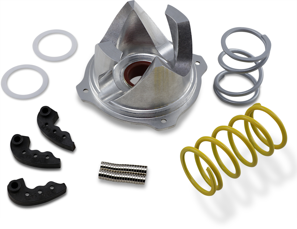 RZR Stage 2 Clutch Kit - Trail