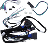 Amplifier Harness - 14+