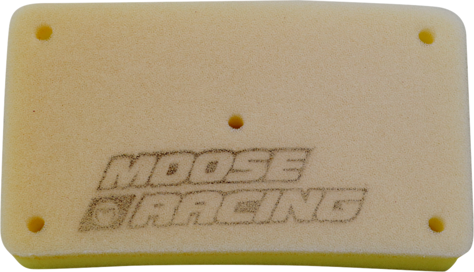 Air Filter - Arctic Cat