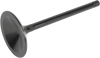 Intake Valve - Twin Cam