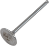 Intake Valve - Yamaha