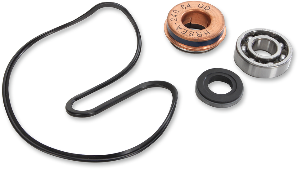 Water Pump Repair Kit - Polaris