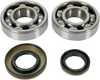 Crankshaft Bearings - Suzuki