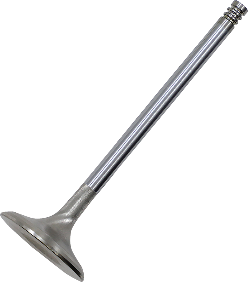 Exhaust Valve
