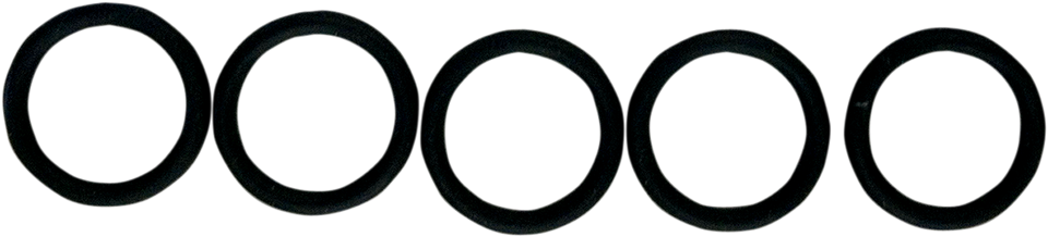 Replacement Fuel Check Valve O-Ring - 5-Pack