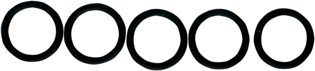Replacement Fuel Check Valve O-Ring - 5-Pack