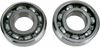 Crankshaft Bearings - Suzuki