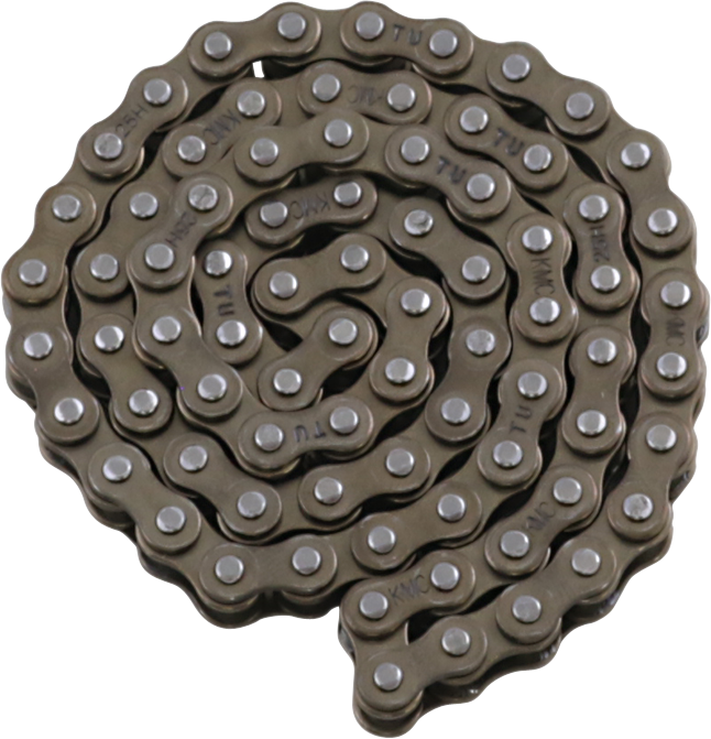 Oil Pump Roller Chain Kit