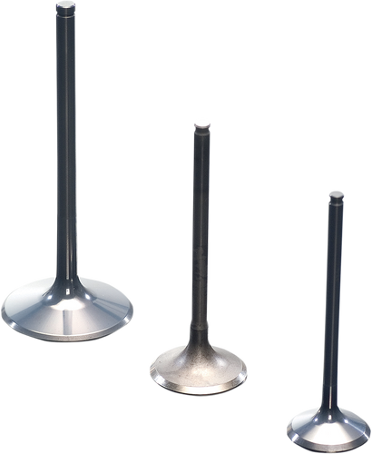 Exhaust Valve - Big Twin