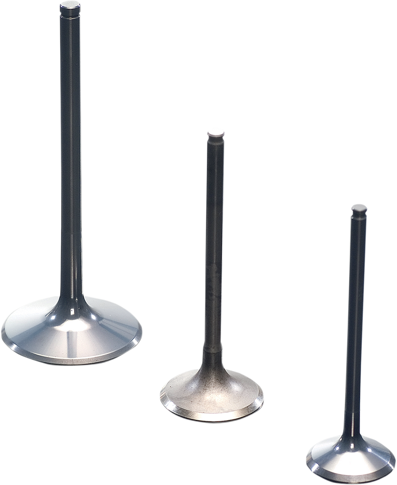 Exhaust Valve - Big Twin