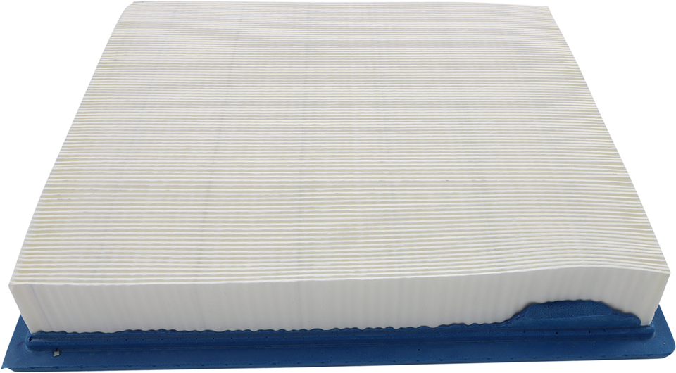 Replacement Air Filter - Polaris