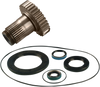 Trans Seal Kit - Big Twin