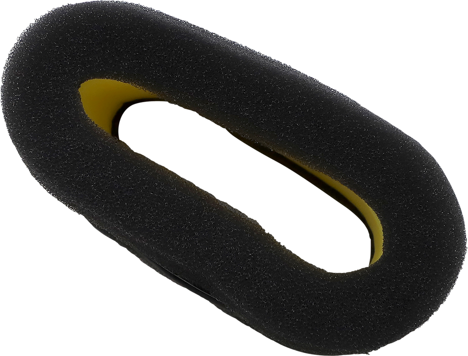 Air Filter - Polaris