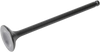 Exhaust Valve