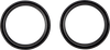 Fork Oil Seal Set - 49 mm