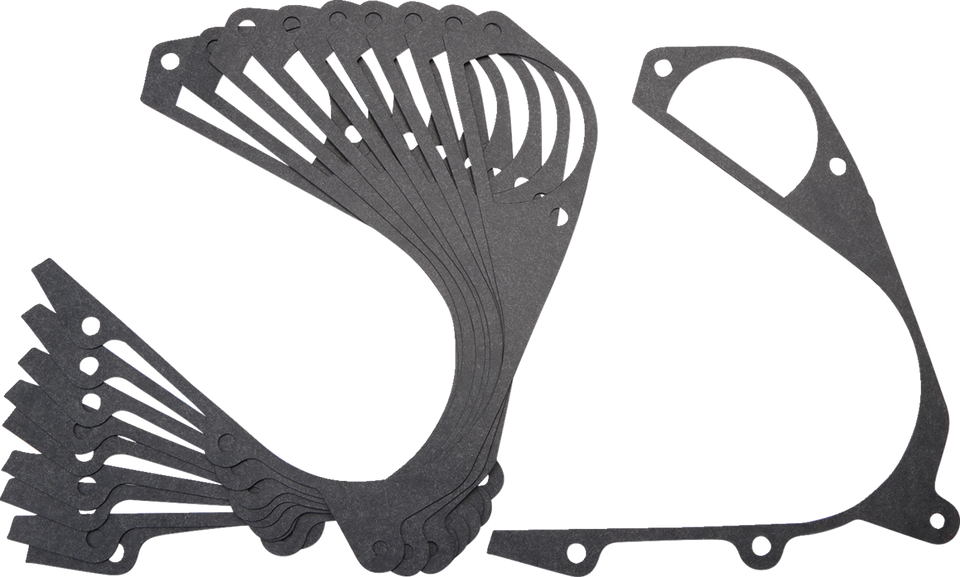 Primary Transmission Large Gasket