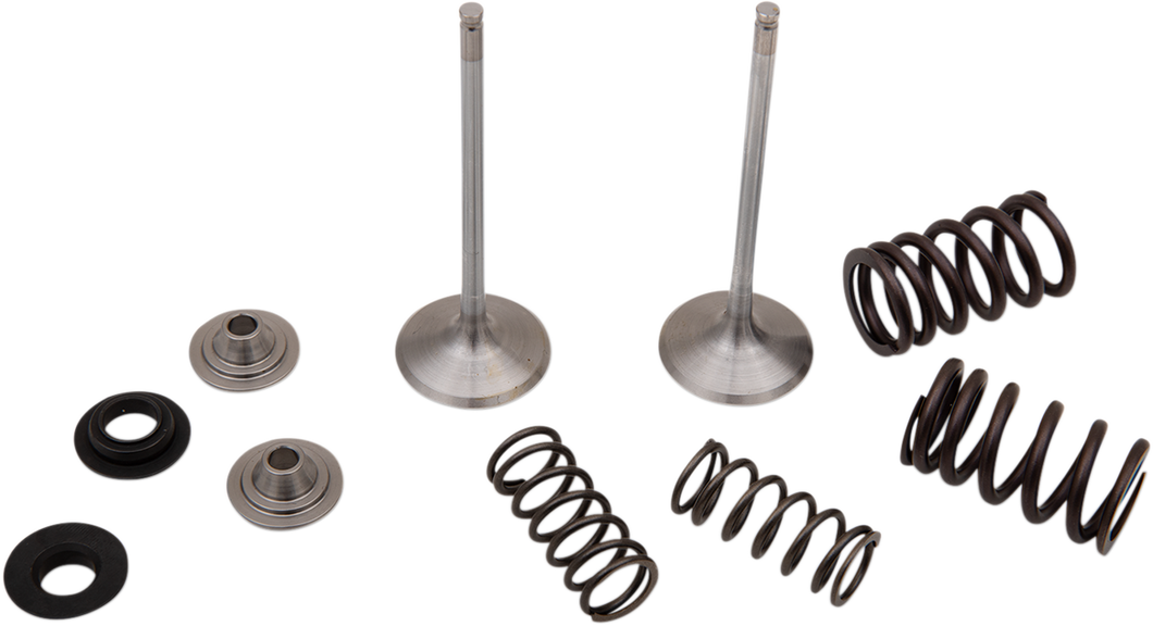 Intake Valve Kit